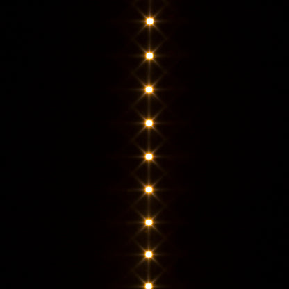RENDL LED-strip LED STRIP IP20 5m    12V= LED 60W  3000K G12366 3