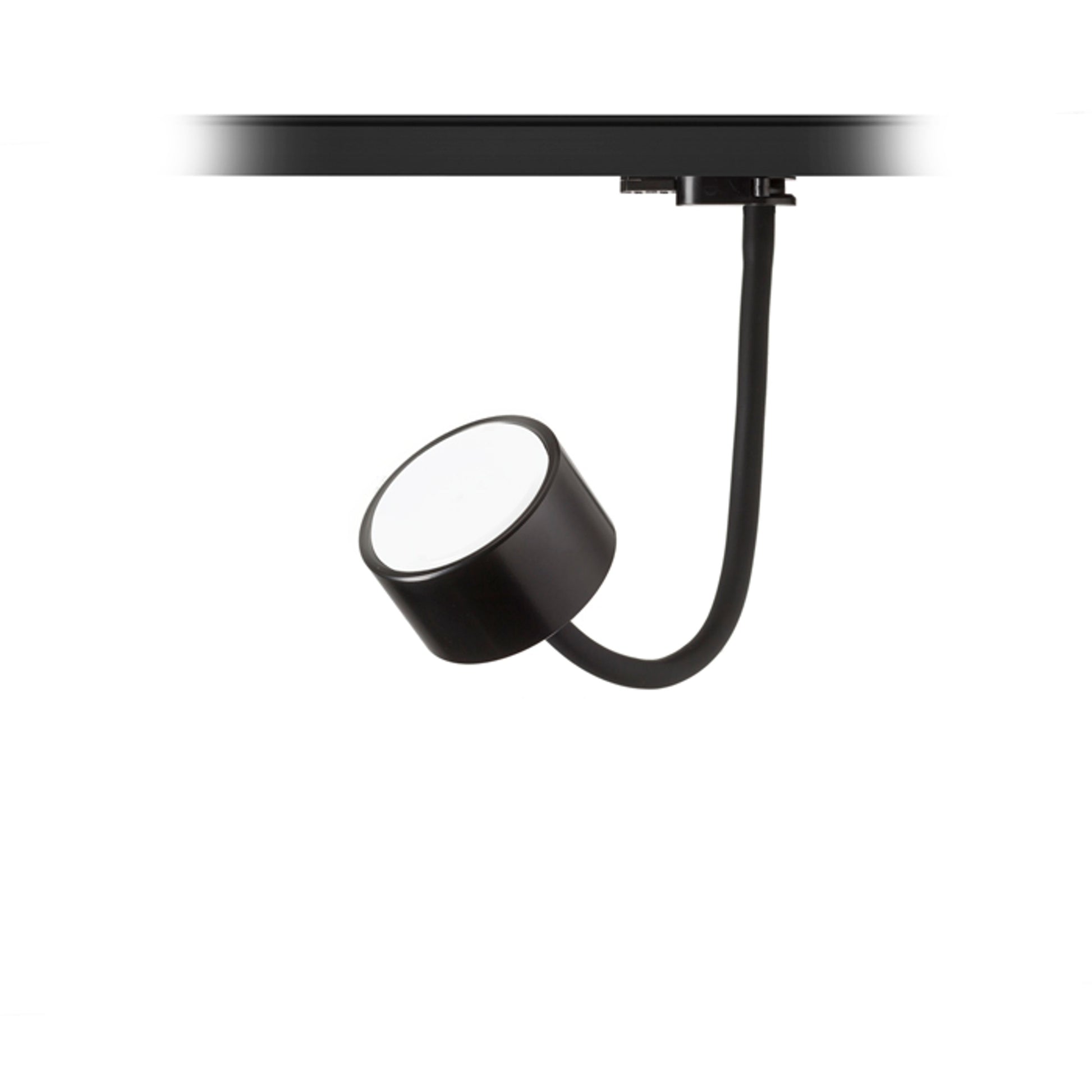 RENDL 3-circuit track system PIXIE on goose neck for 3-circuit tracks black 230V LED GX53 7W R11769 1