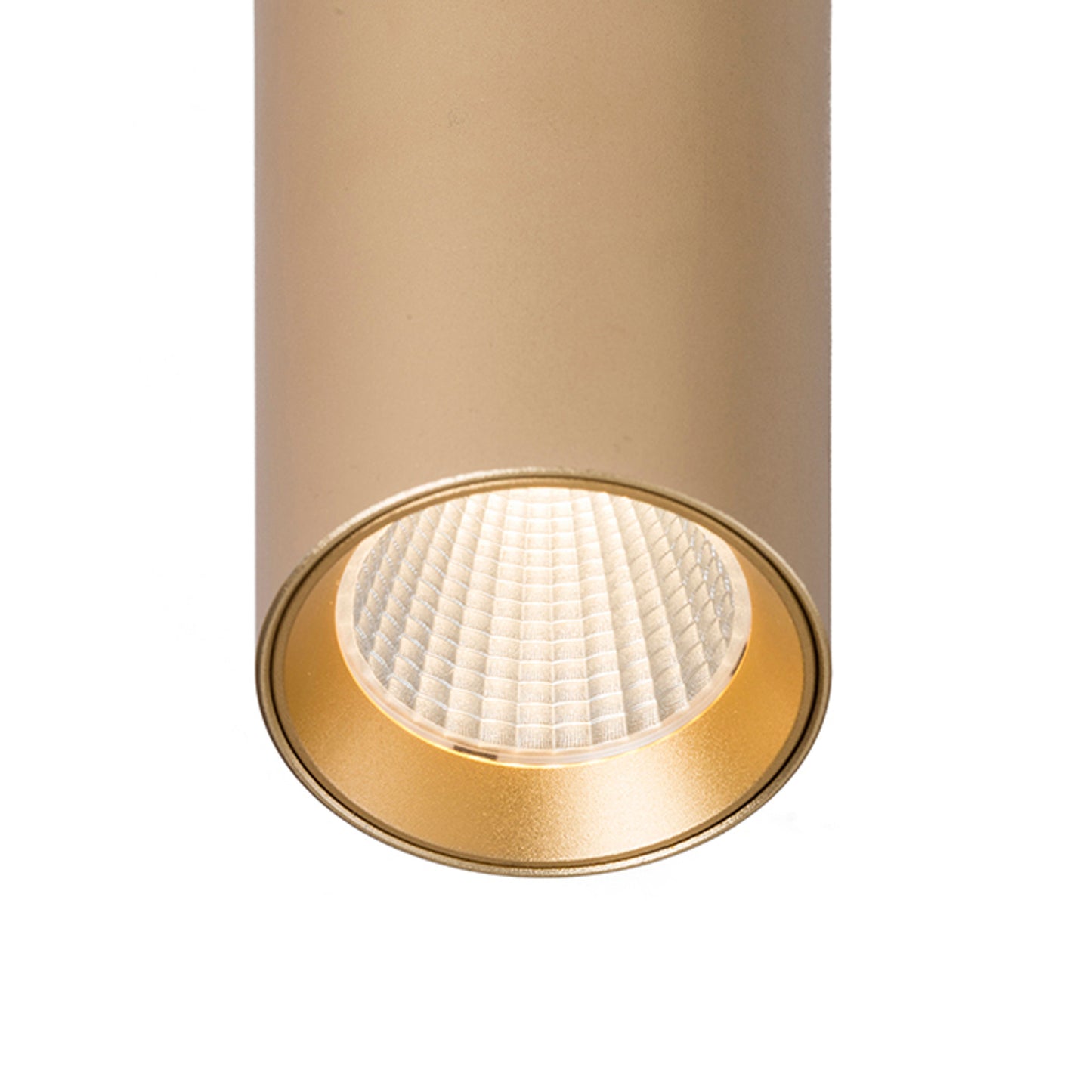 RENDL pendant lamp MAVRO pendant gold  230V LED 12W 38°  3000K R12991 2