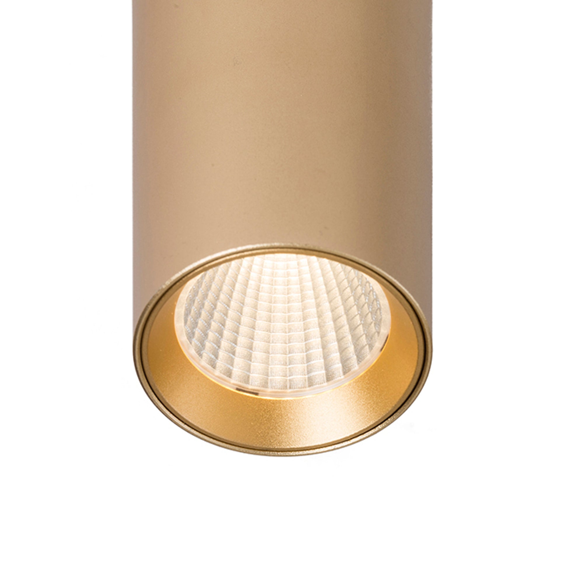 RENDL pendant lamp MAVRO pendant gold  230V LED 12W 38°  3000K R12991 2
