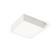 LARISA SQ 17 DIMM